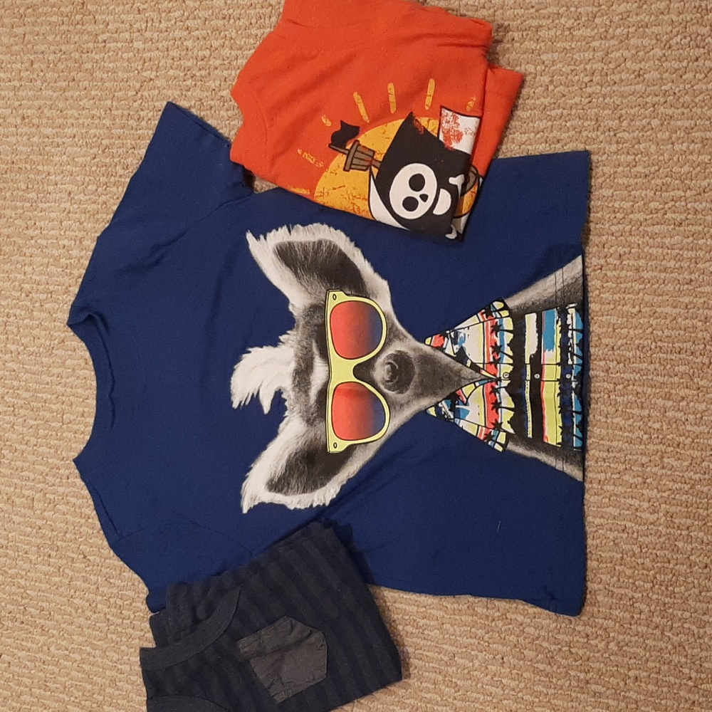 Bundle Boys 4T Shirts